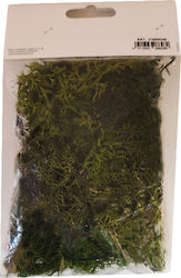 Knorr Prandell Plant Mockup