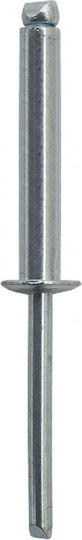 SRC Πριτσίνια Αλουμινίου M4.8x30mm