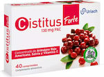 Cistitus 40 табове