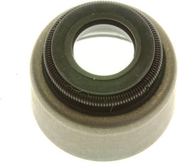 Centauro Valves Seal