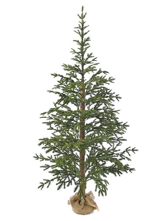 Weihnachtsbaum Angel Pine 240cm