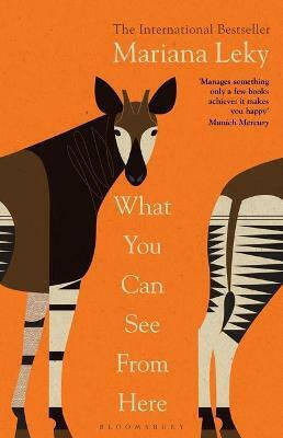 What You Can See From Here: the 'warm And Curious' Bestselling Phenomenon Mariana Leky Publishing Plc