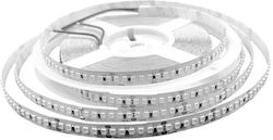 Eurolamp LED Strip 24V Warm White Light 5m Type...