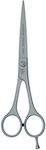 Solingen Hair Cutting Trimming Scissor