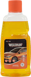 Carsun Shampoo 500ml