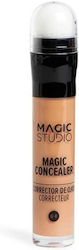 Magic Studio Liquid Foundation
