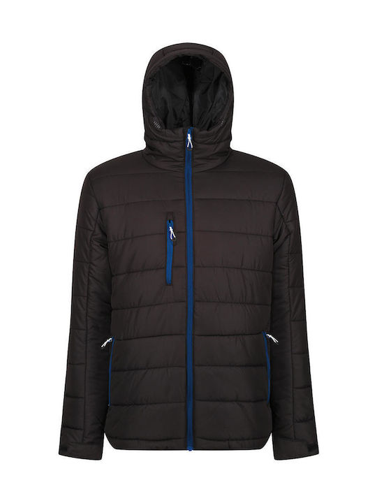 Regatta Men's Winter Puffer Jacket Black/Royal