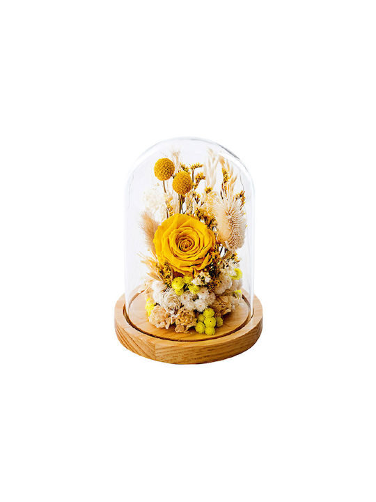 Trandafir Etern Dry Flowers Yellow 1buc