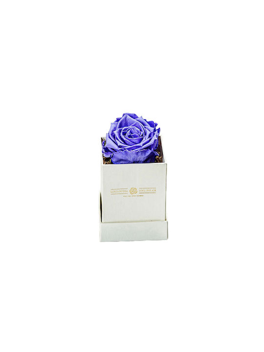 Eternal Rose Forever Purple 1pcs