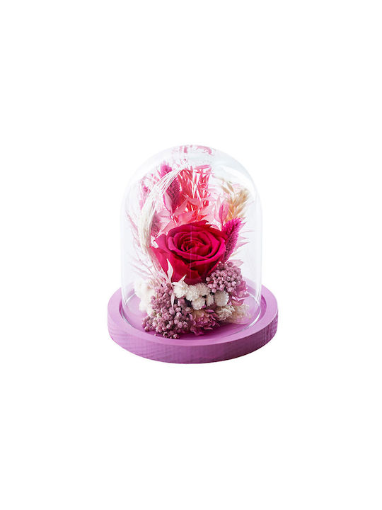 Вечно Роза Dry Flowers Multicolour 1бр