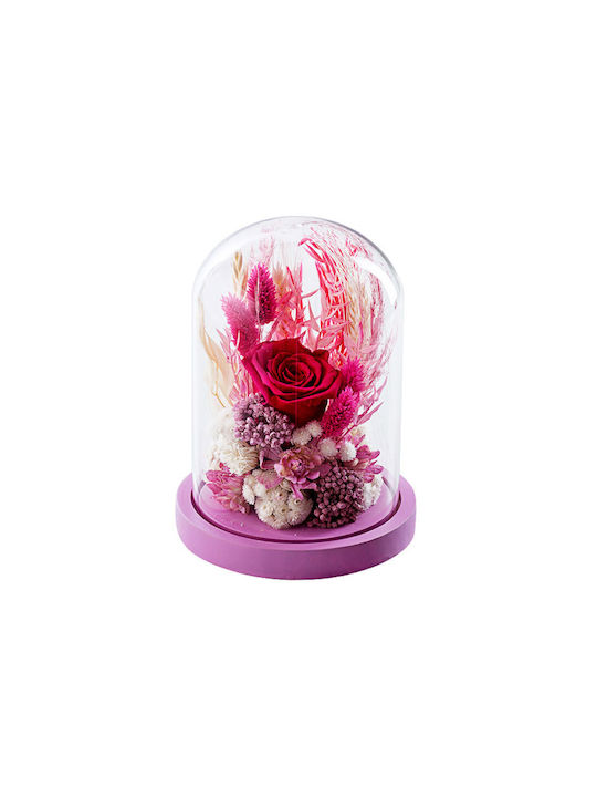 Вечно Роза Dry Flowers Multicolour 1бр