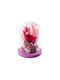 Eternal Rose Dry Flowers Multicolour 1pcs