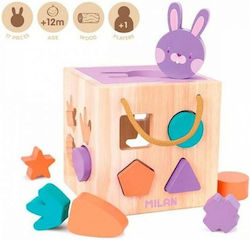 Milan Activity Cube for 12++ Months Milan Activity Cube for 12++ Months