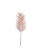 Dekorative Feder Kentia Rot 100cm Supergreens