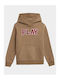 4F Kids Sweatshirt with Hood Brown