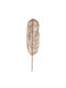 HomeMarkt Wall Decor Brown Wicker Material 30x30cm