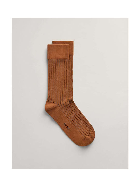 Gant Socks Brown