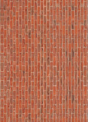 Uni Pap Carton Colaj Art 50x70cm.