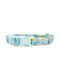 Habby Collar Margaret Κολάρο Σκύλου σε Τιρκουάζ χρώμα Small 10mm x 20 - 30cm