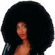 Carnival Wig Afro Brunette 60cm