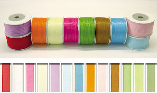 Paperpack Net Ribbon Turquoise