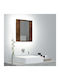 vidaXL Rectangular Bathroom Mirror Led made of Plastic with Cabinet 40x45cm Brown