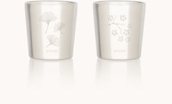 Gaspajoe Becher mit Bäumen