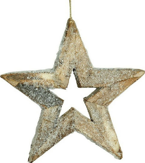 TnS Plastic Christmas Decorative Pendant Star