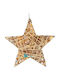 TnS Plastic cu lumină LED Christmas Decorative Pendant Star