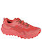 ASICS Gel-Trabuco 11 Γυναικεία Αθλητικά Παπούτσια Trail Running Ροζ
