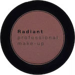 Radiant Professional Eye Color Eye Shadow Matte in Solid Form 292 Brown 9ml