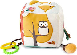 Baby to Love Cube Forest for 0++ Months