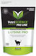 Vetriscience L-lysine Pro Λιχουδιά για Ενίσχυση Ανοσοποιητικού