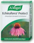 A.Vogel Echinaforce Protect 1140mg Εχινάκεια 40 ταμπλέτες