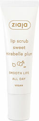Ziaja Scrub Χειλιών 12ml Ziaja Scrub Χειλιών 12ml
