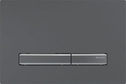 Geberit Flush Plate Dual Flush