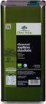 Olea Tree Exzellentes natives Olivenöl Bio-Produkt mit Aroma Unverfälscht 5Es 1Stück