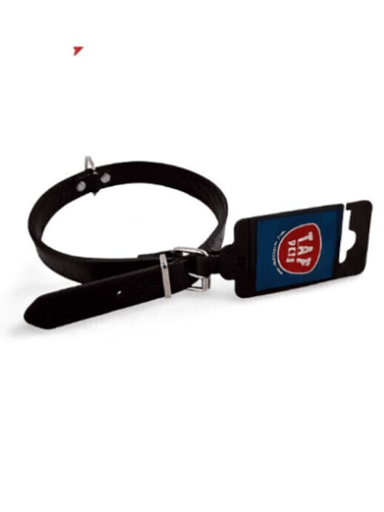 T.A.F. Pets Dog Collar in Green Color Medium 25mm
