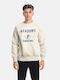 Paco & Co Men's Sweatshirt Beige