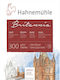 Hahnemuhle 10628641