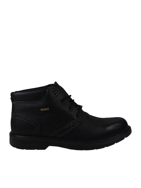 Grisport
