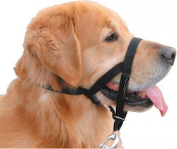 Nobby Hundemaulkorb Schulung 41cm