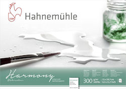 Hahnemuhle Watercolour Pad A2 42x59.4cm 12 Sheets