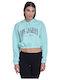 Gekürzt Damen Sweatshirt Kapuzen Türkis