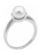 Women's Ring from White Gold 14K