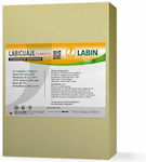 Labin Granular Fertilizer 1kg 1pcs