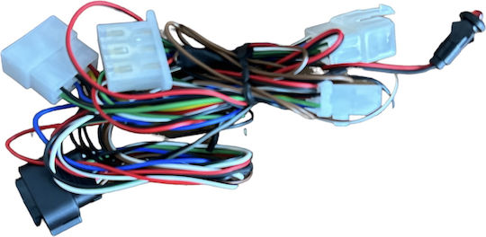 Patrol Line Motorcycle Alarm Wiring