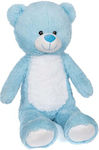 Plush Bear for 3+ Years 80 cm