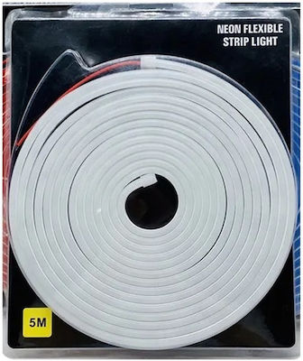 Waterproof Neon Flex LED Strip Power Supply 12V with Cold White Light Length 5m