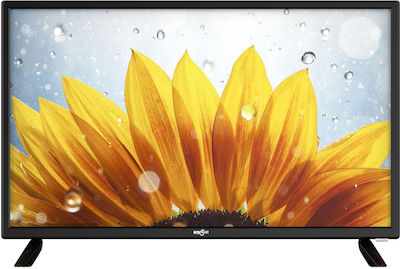 Winstar Τηλεόραση 24" HD Ready LED TV24V5 (2022)